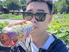-白洋淀景区