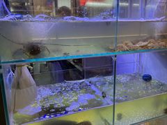 -皮蛋弟砂锅店(总店)