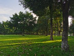 -眉山湿地公园(东坡区)