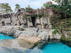-上海野生动物园