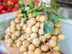 -城南综合水果批发市场(花园路店)