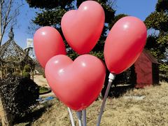 -武汉紫薇都市田园