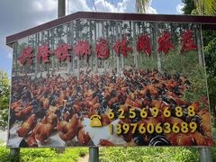 -兴隆槟榔园休闲农庄