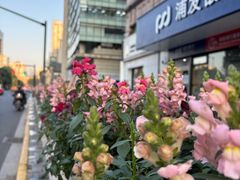 -港汇恒隆广场