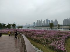 -汉江湾体育公园