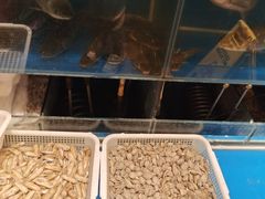 水产区-小俩口烧烤东北菜(双井店)