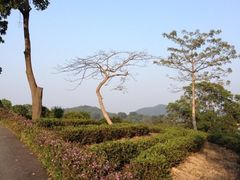 iphone_upload_pic-东部华侨城