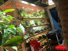 -椰夫人·养生椰子鸡(金沙洲永旺店)