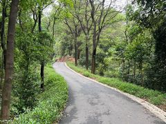 -广州市白云山风景名胜区