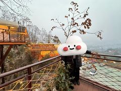 -巴倒烫陆派火锅山庄(南山总店)