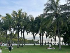 -深圳湾公园(南山区)