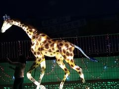 -巨鹏飞梦幻海岸