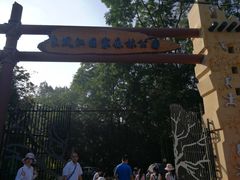 -南宁良凤江国家森林公园