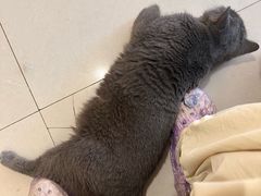 -平行世界·猫咖(首经贸店)