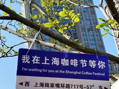 -陆家嘴中心绿地
