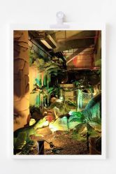 -恐龙探索乐园(磁器口店)