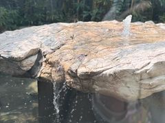 -萬國春·中菜馆(颐和公馆店)