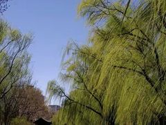 -郭守敬纪念馆