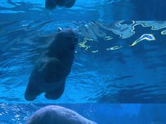 -珠海长隆海洋王国
