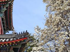 -北京艺术博物馆(万寿寺)