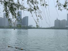 -天鹅湖体育公园