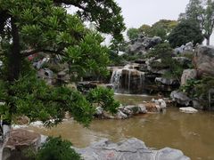 -东莞植物园