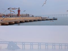 -星海广场