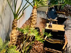 -J Create城市露营咖啡·简餐·宠物(上海动物园店)