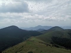 -大姆山草场