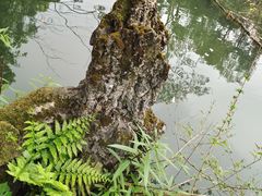 -成都杜甫草堂博物馆
