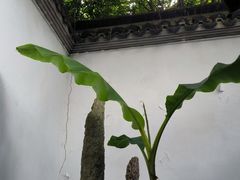 -孔氏南宗家庙