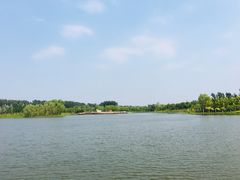 -东郊湿地公园