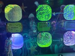 -芜湖新华联大白鲸海洋公园