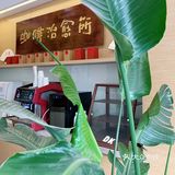 咖啡踩坑记｜我被照骗了