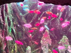 -多彩贵州城极地海洋世界