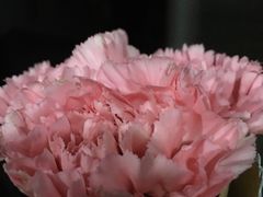 -金逸影城(影视中心IMAX店)
