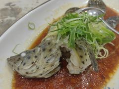 清蒸老鼠斑-富来美食(成发大厦店)