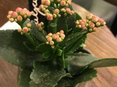 -gaga(深圳福田星河COCO Park店)