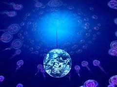 4D电影-上海海昌海洋公园