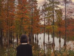 -白鹭湾湿地公园