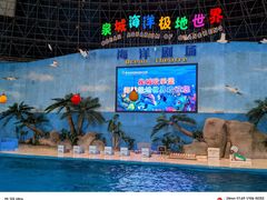 -泉城欧乐堡海洋极地世界