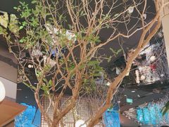 -桂满陇·海市蜃楼·黑金(国金店)