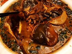 河豚鱼-莆鑫海鲜城(浏河店)