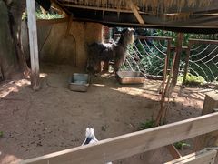 -佰园全日西餐厅-厦门佰翔软件园酒店