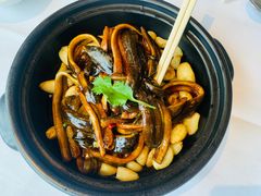 淮扬软兜-圆苑(金茂店)