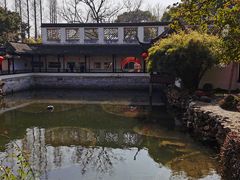 -上海醉白池公园