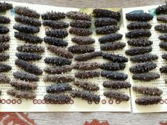 -老鼎丰(和兴店)