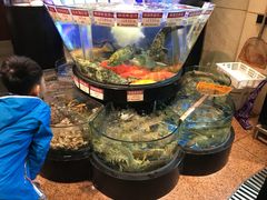 -陶陶居海鲜酒家(新马路店)