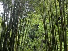 -三峡人家风景区