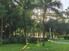-深圳湾公园(南山区)